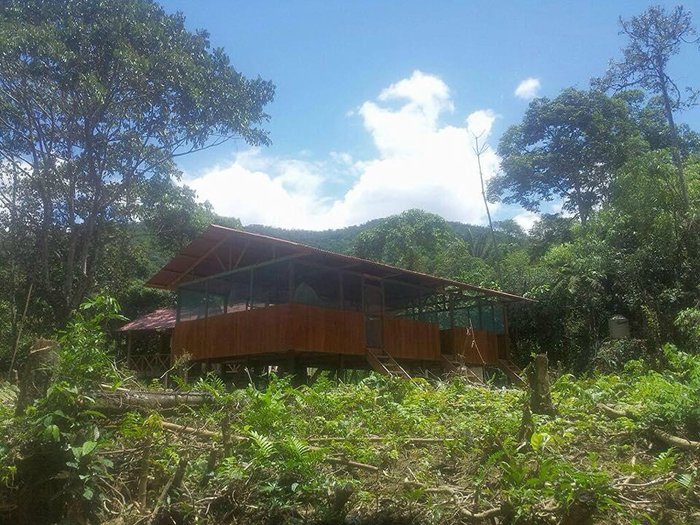 RESERVA TIERRA LINDA - Lodge Reviews (Manu National Park, Peru)