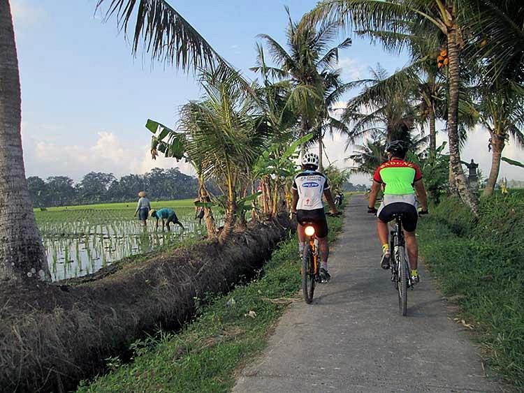 Bali Bike Hire - Rent a bicycle Bali image