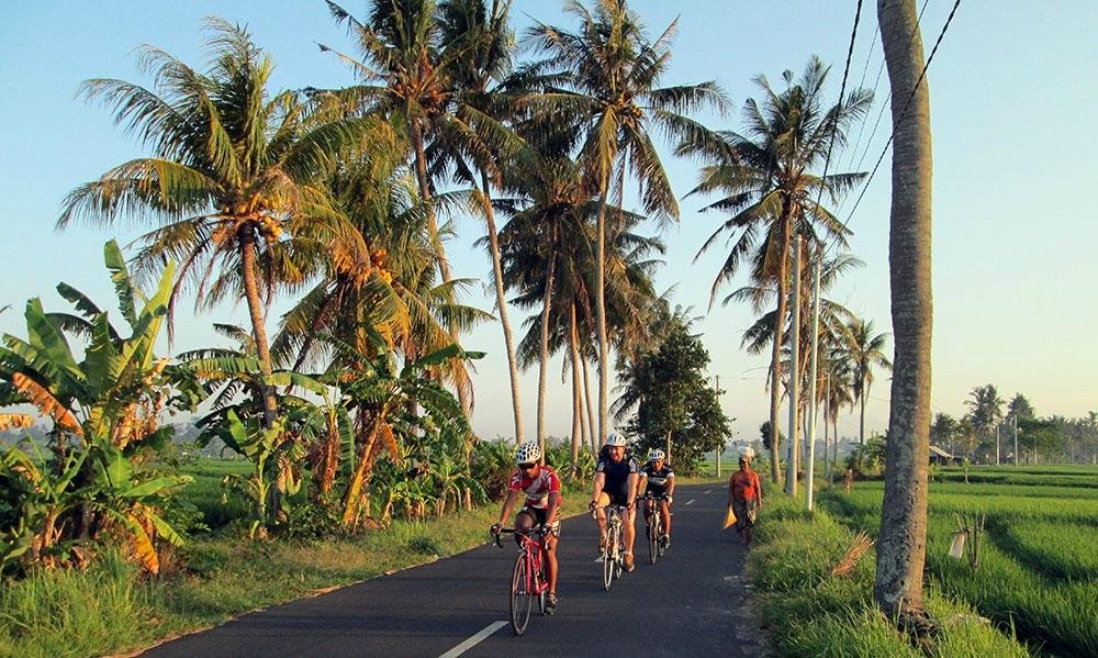 Rent A Bicycle In Bali