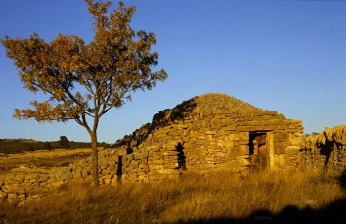 Imagen 12 de Albergue La Parreta