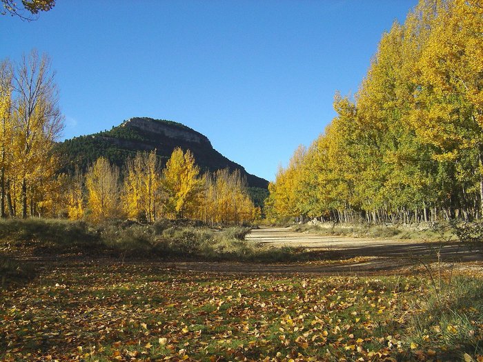 Imagen 10 de Albergue La Parreta