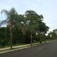 Vista da ciclovia