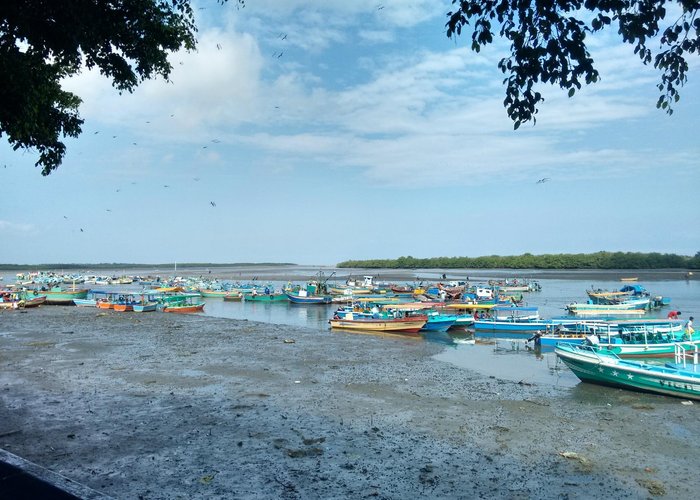 Botecitos en Puerto Pizarro