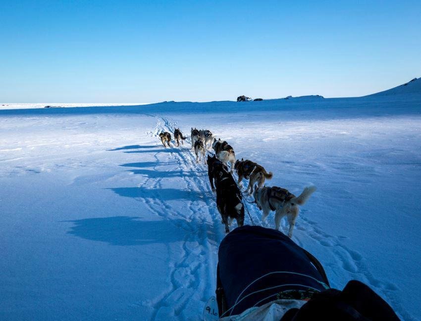 Svalbard Villmarkssenter - Day Tours (Longyearbyen) - All You Need to ...