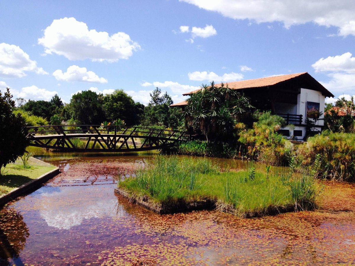 Parque Nacional de Brasília - O que saber antes de ir (ATUALIZADO 2023)