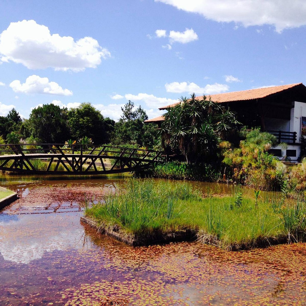 Parques em Brasília: estrutura e belezas do Cerrado perto de casa