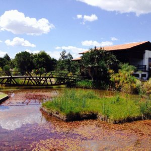 Parque Nacional de Brasília (AGUA MINERAL): Brasilia National Park