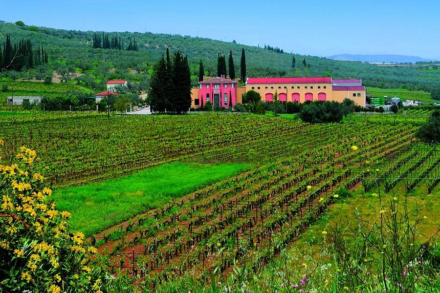 Lafazanis Winery image