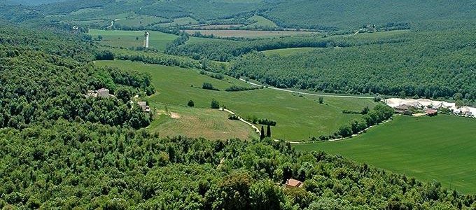 Aerial view of Podere La Castellina