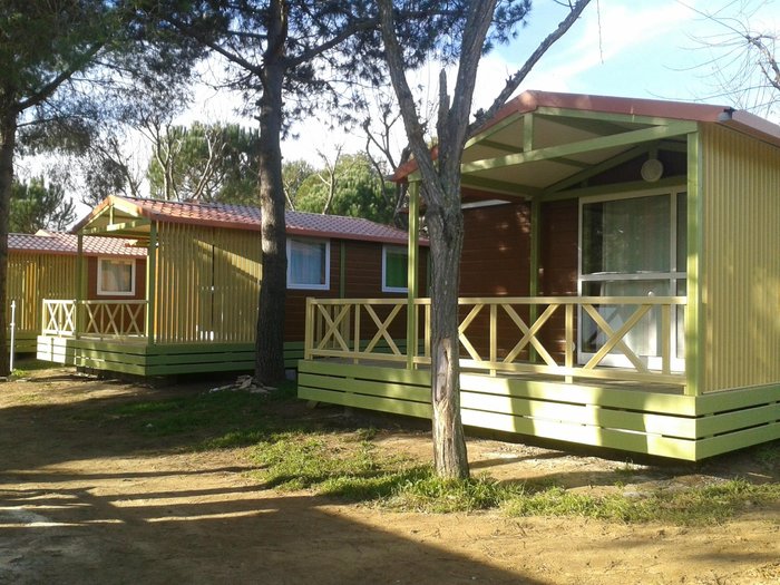 Imagen 2 de CAMPING PALAMOS