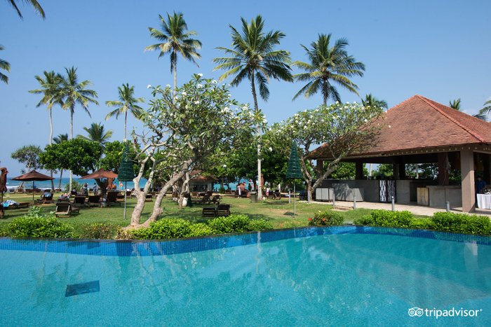 Hikka Tranz by Cinnamon Pool: Pictures & Reviews - Tripadvisor