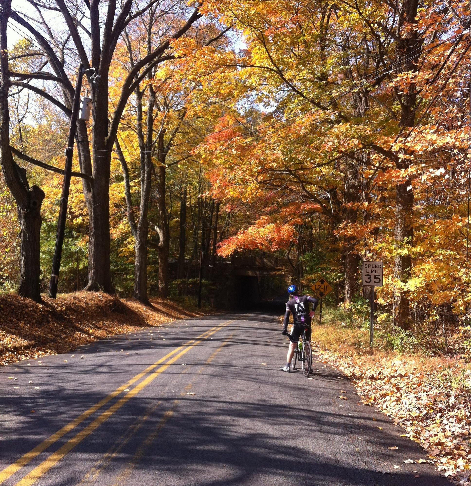 nj bike tours