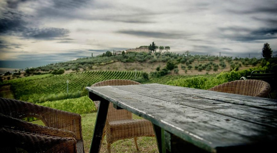 Panorama vigne