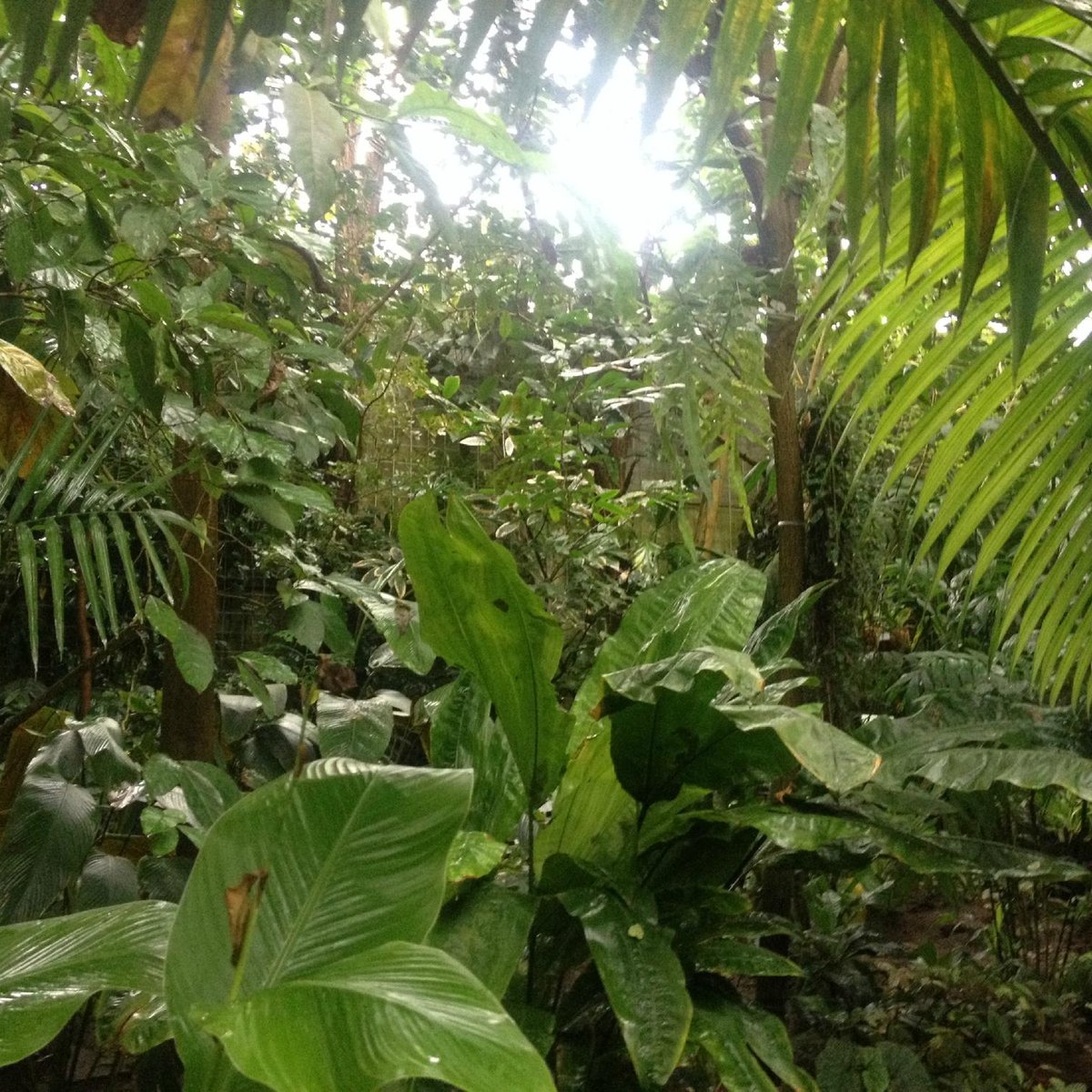 Ökologisch-Botanischer Garten (Bayreuth): All You Need to Know