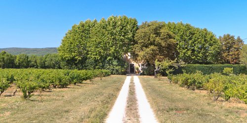 Chemin d'accès du Clos du Pavillon - Brignolles