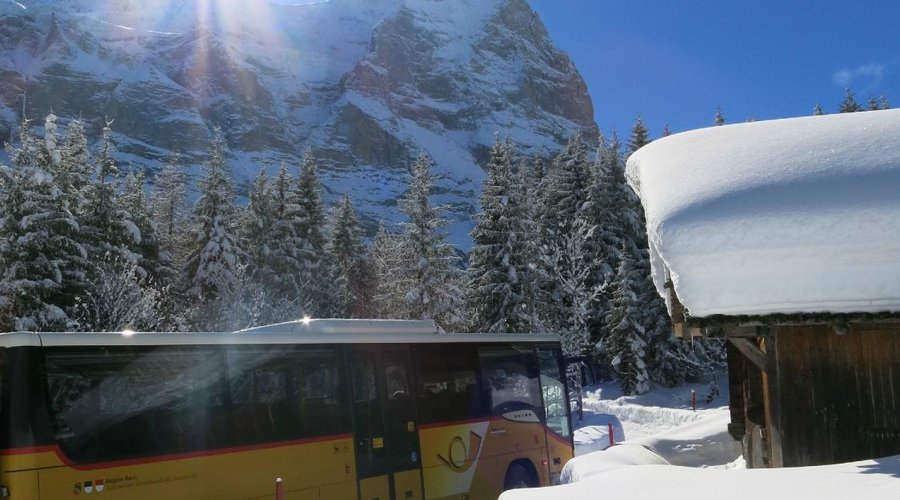Schlittelplausch Grosse Scheidegg - Schwarzwaldalp