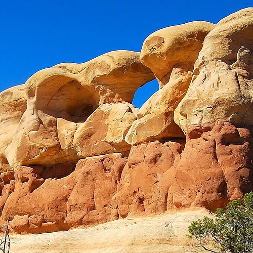 Cree un Jardín en Cualquier Lugar con Balas de Paja - Utah Family Magazine