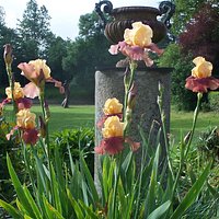 Le Parc