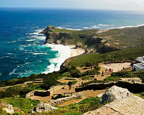 Cape Town: the ultimate to-do list - Africa Geographic