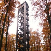 Der Aussichtsturm im Herbstwald