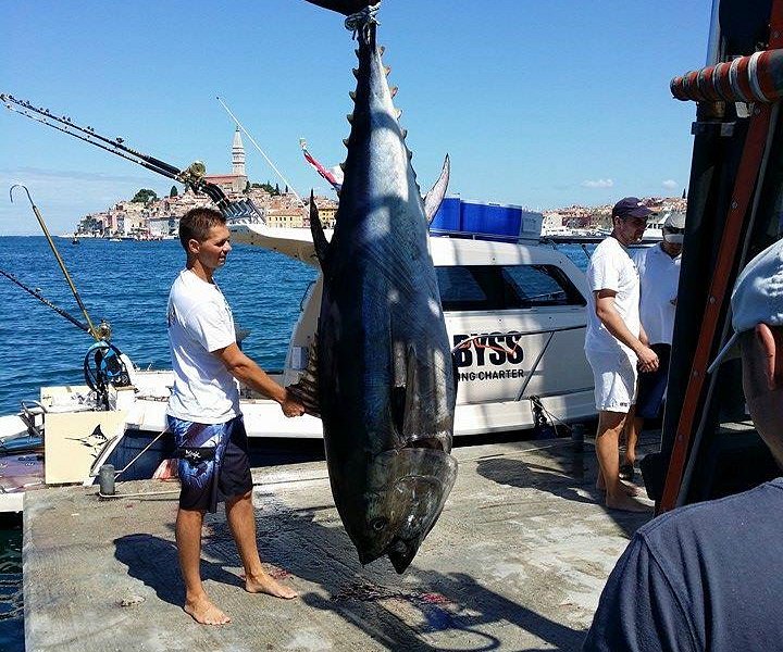 Abyss Fishing Charter (2025) All You Need to Know BEFORE You Go (with