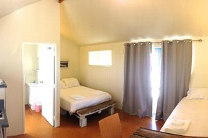 Room & Suite