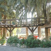 wwwcamelsafarigrancanaria.com