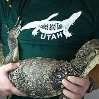 Scales & Tails has lizards!