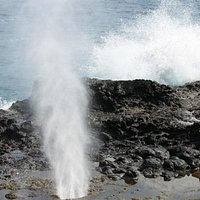 spectacular blowhole