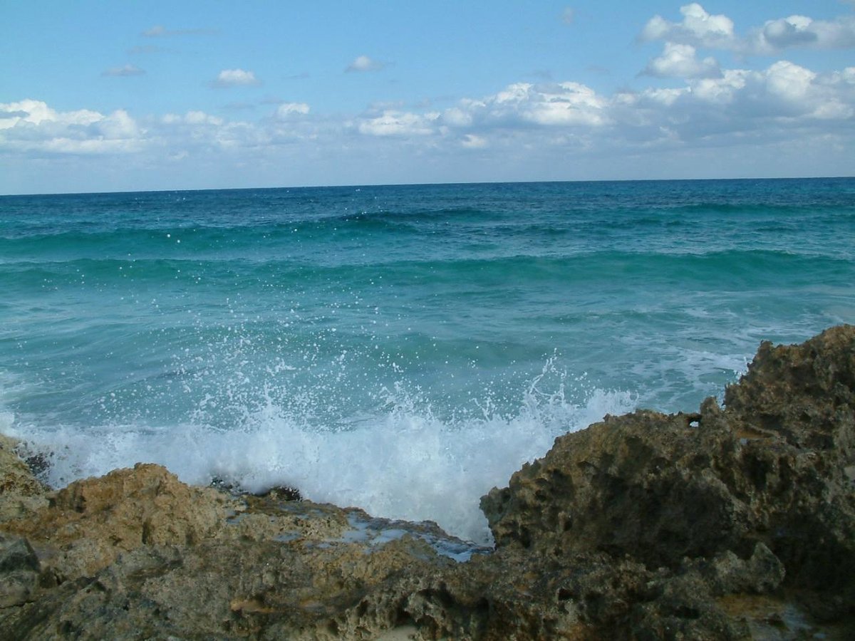 Punta Morena (Cozumel) - All You Need to Know BEFORE You Go