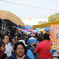 La Lagunilla Market - All You Need to Know BEFORE You Go (2024)