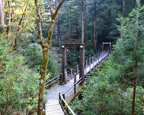 10 BEST Kyushu Parks - Tripadvisor