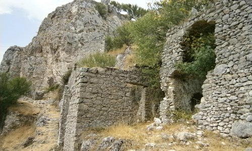 Dettaglio