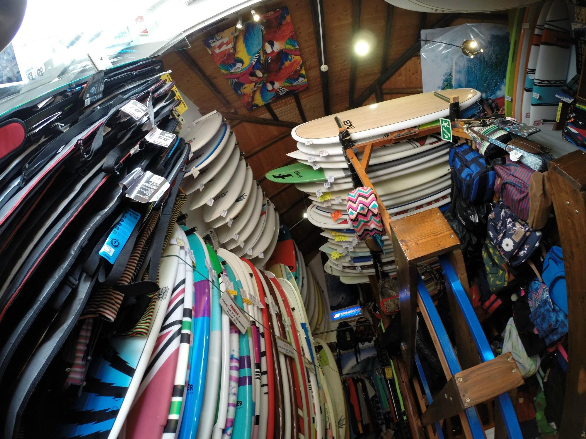 Surf shops online around me