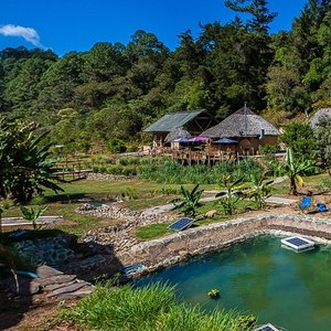 Piscina natural sin cloro