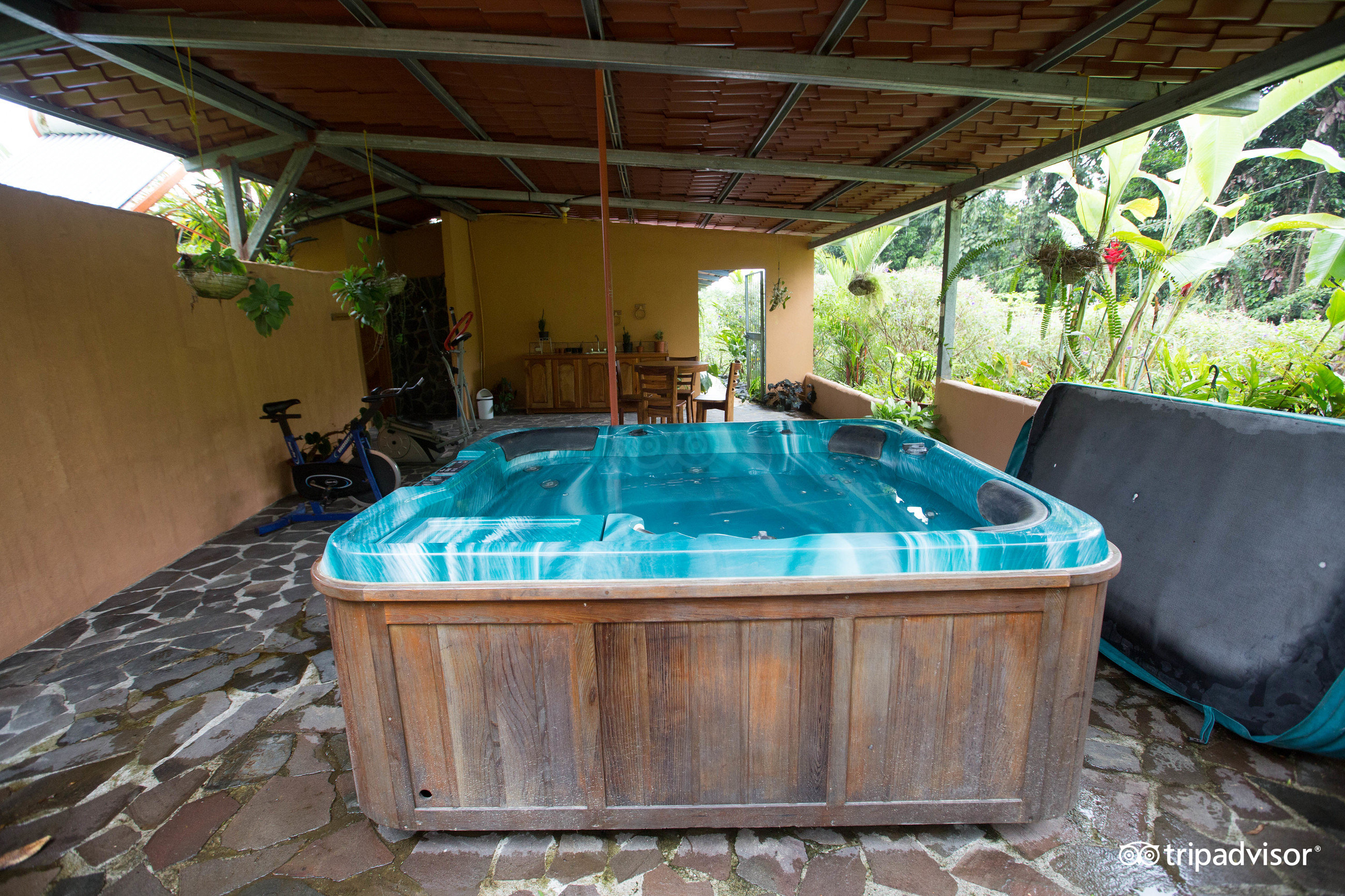 Nepenthe B&B Pool Pictures & Reviews - Tripadvisor