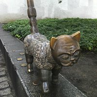 Кот с лицом Джентельмена.