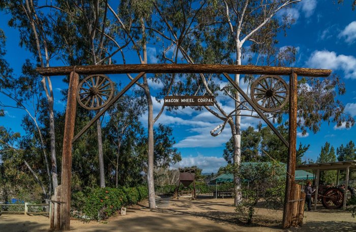 Wagon Wheel Corral