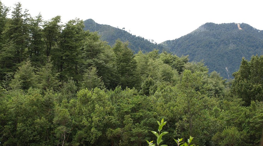 Vista desde el porton de la entrada