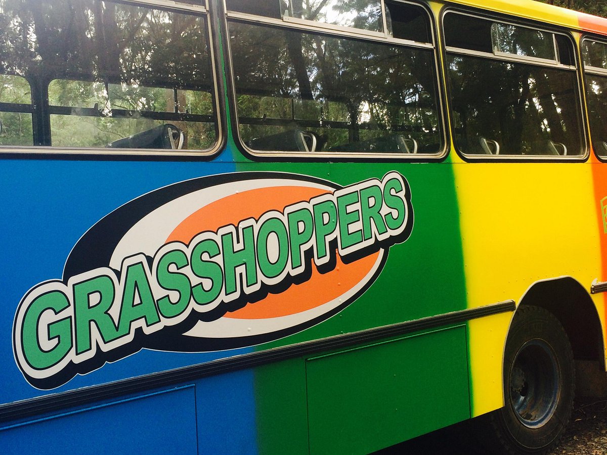 grasshoppers nimbin tour
