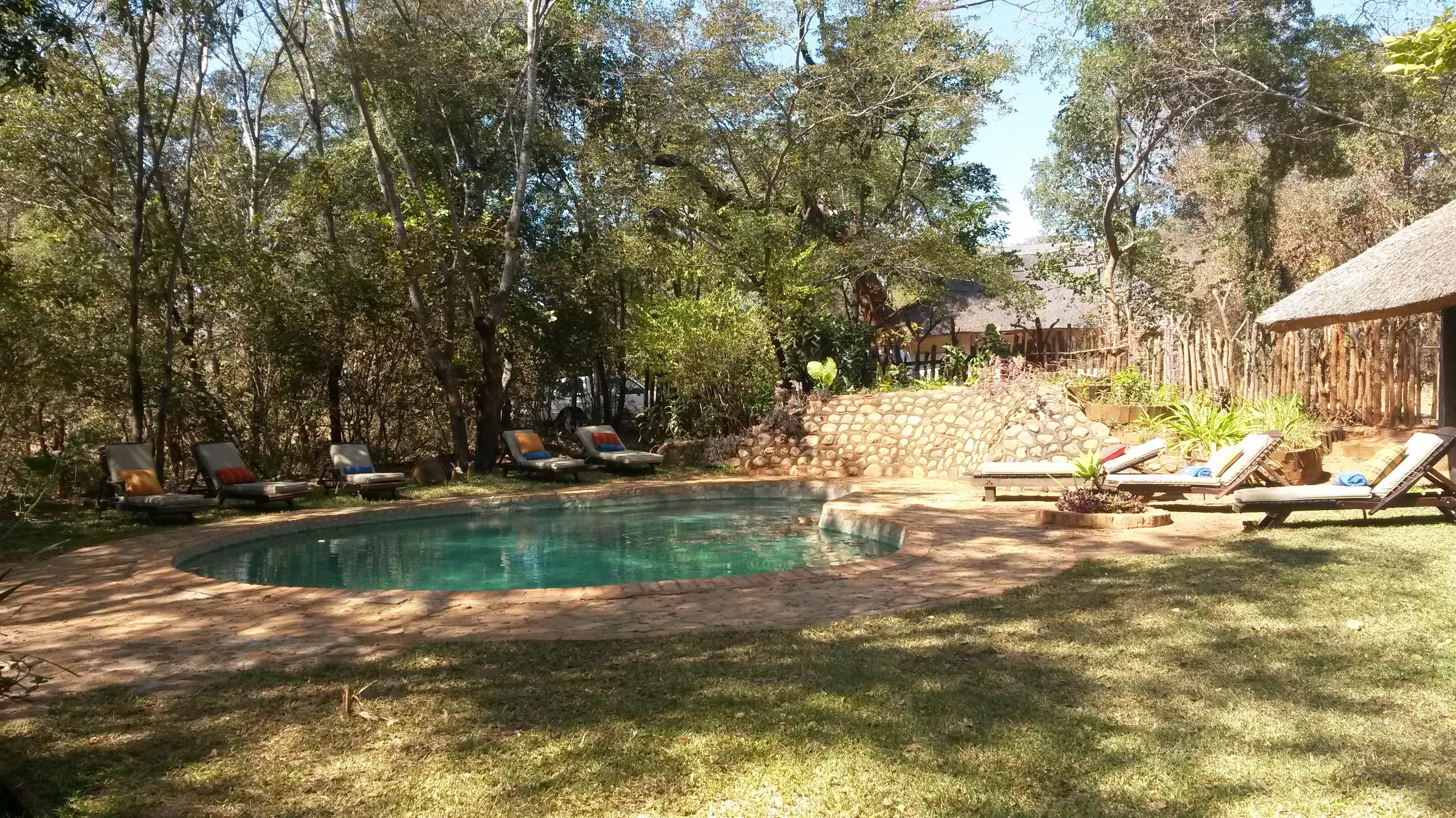 Ivory Lodge Pool Pictures & Reviews - Tripadvisor