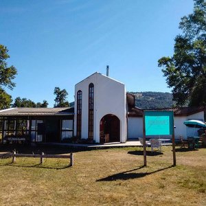 Arrayanes Chile, located on the road between Villarrica and Lican Ray, only 2 kms from Lican Ray