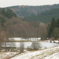 Die Fischteiche im Weiltal