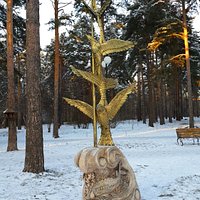 птицы