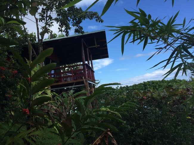 VISTA DRAKE LODGE, COSTA RICA/OSA PENINSULA: 228 fotos, comparação