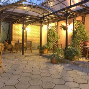 The garden in winter