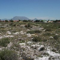 getlstd_property_photo