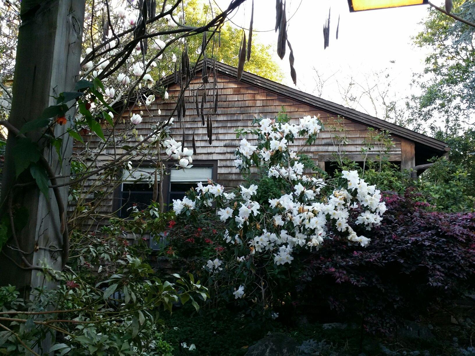 NORTH BERKELEY COTTAGE (Berkeley, Californië) - Foto's En Reviews ...