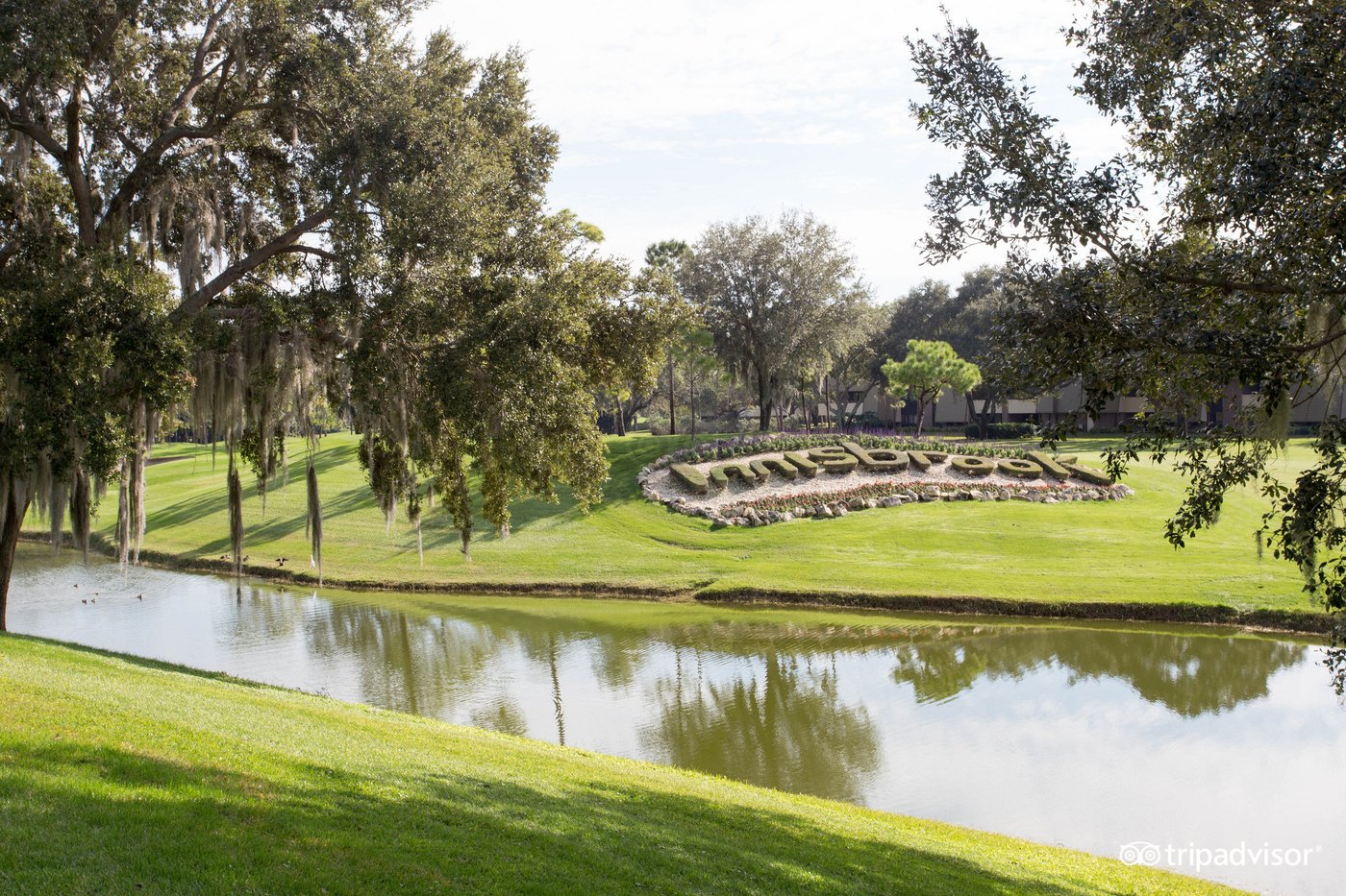 Innisbrook Resort Palm Harbor Fl Prezzi E Recensioni 2023