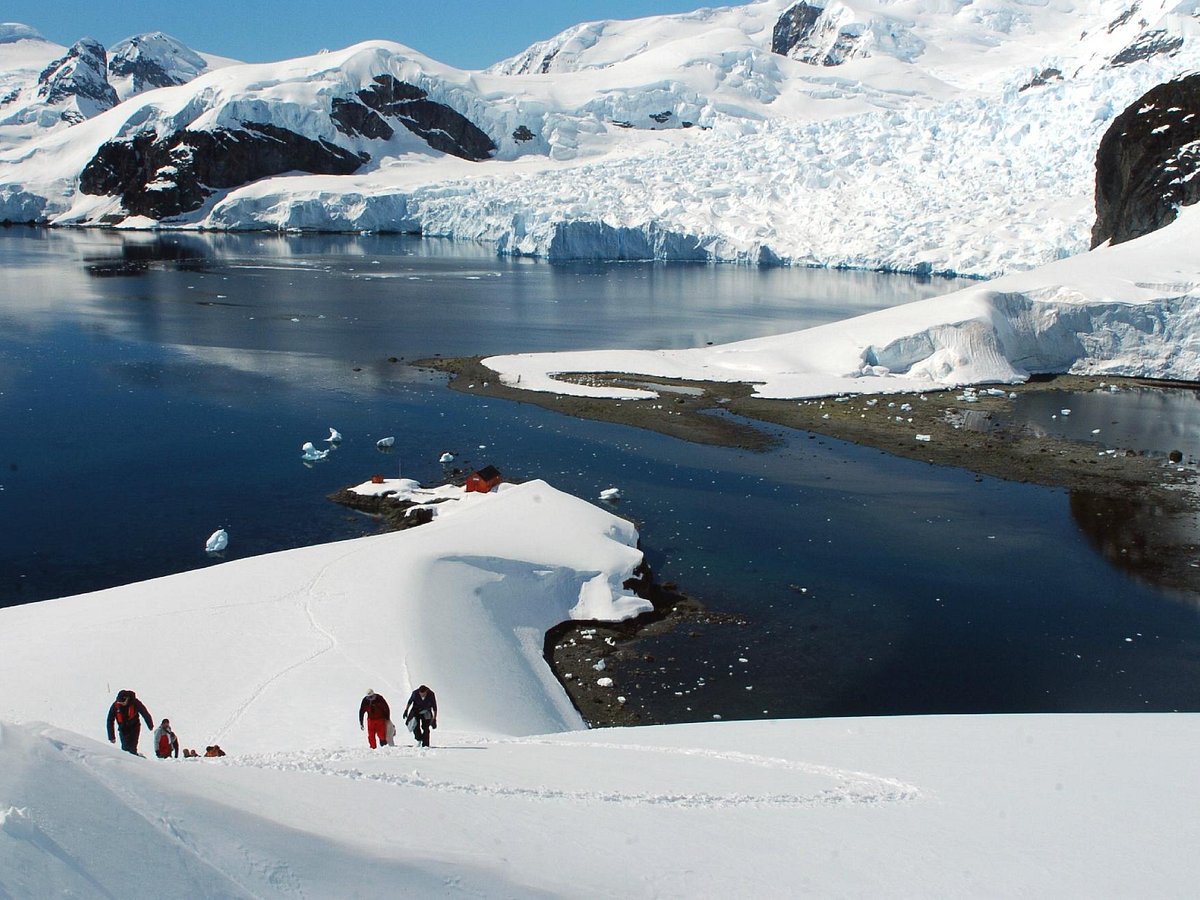 antarctica tours from punta arenas